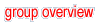 overview group 2.1